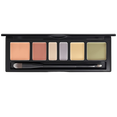 JUNG SAEM MOOL Artist Concealer Palette