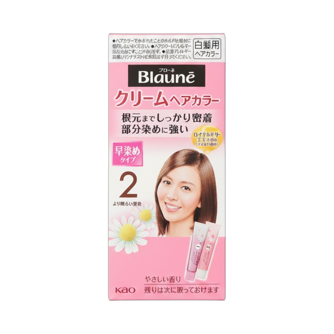 kao42-02-chestnut - Salon De Pro Unscented Gray Hair Quick Color Cream-image1 kao42-02-chestnut - Salon De Pro Unscented Gray Hair Quick Color Cream-image1