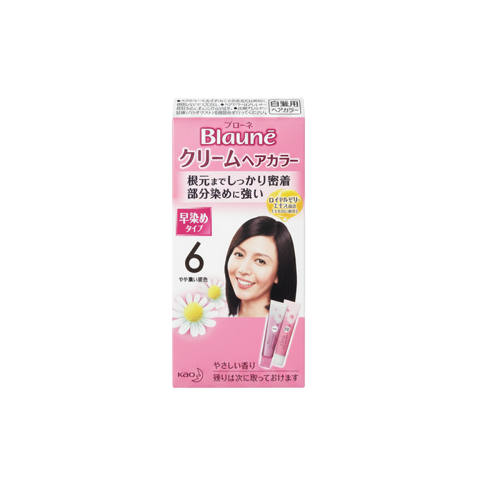 kao52-06 - Salon De Pro Unscented Gray Hair Quick Color Cream-image1