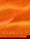 38 Sunrise Orange