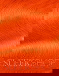 39 Orange Blaze
