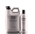 Kenra Color Maintenance Conditioner
