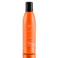 Alterna Hemp Strength Shine Conditioner