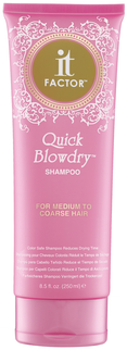 It Factor Quick Blowdry Shampoo - For Medium To Coarse Hair