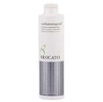 Brocato Curlinterrupted Smoothing & Hydrating Shampoo
