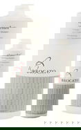 Brocato Vibracolor Fade Prevent Shampoo