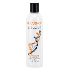 Rejuvenol Keratin Color Enhancer Sunflower Shampoo-image1