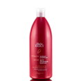 Back to Basics Pomegranate Moisture Conditioner-image1