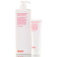 Evo Mane Attention Protein Treatment