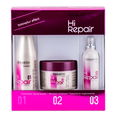 Salerm Cosmetics Hi Repair Kit