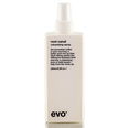 Evo Root Canal Base Support Spray