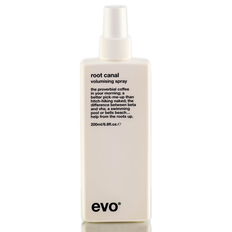 Evo Root Canal Base Support Spray