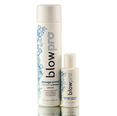 Blow Pro Damage Control Daily Repairing Shampoo