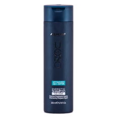 Alfaparf Uomo Energetic Shampoo Silver