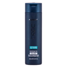 Alfaparf Uomo Energetic Shampoo Silver-image1 Alfaparf Uomo Energetic Shampoo Silver-image1