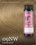 redken shades eq gloss 09nw cream soda hair color -- shade swatch with product packaging redken shades eq gloss 09nw cream soda hair color -- shade swatch with product packaging