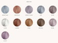 Pravana ChromaSilk Express Tones Ammonia-Free 5 Minute Toning DEMI-PERMANENT Hair Color Dye-image2