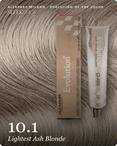 alfaparf milano evolution of the color 10.1 lightest ash blonde hair color -- shade swatch with product packaging alfaparf milano evolution of the color 10.1 lightest ash blonde hair color -- shade swatch with product packaging