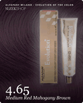 alfaparf milano evolution of the color 4.65 medium red mahogany brown hair color -- shade swatch with product packaging