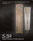 alfaparf milano evolution of the color 5.32 light golden violet brown hair color -- shade swatch with product packaging