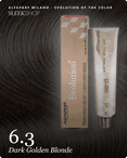 alfaparf milano evolution of the color 6.3 dark golden blonde hair color -- shade swatch with product packaging alfaparf milano evolution of the color 6.3 dark golden blonde hair color -- shade swatch with product packaging