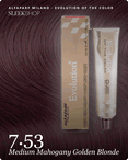 alfaparf milano evolution of the color 7.53 medium mahogany golden blonde hair color -- shade swatch with product packaging