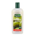 L'Oreal Nature's Therapy Mega Strength Fortifying Shampoo-image1 L'Oreal Nature's Therapy Mega Strength Fortifying Shampoo-image1