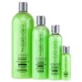 Simply Smooth Xtend Keratin Replenishing Shampoo - Tropical Scent-image1