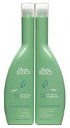 Back to Basics Fresh Mint Energizing Shampoo