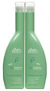 Back to Basics Fresh Mint Energizing Shampoo-image1