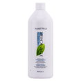Matrix Biolage Anti dandruff Shampoo - Pyrithione Zinc-image2