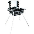 NYX X-Large Makeup Artist Train Case with Lights-image1 NYX X-Large Makeup Artist Train Case with Lights-image1