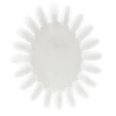 Ionica Blank Nail Palette - 20 Wheel Tips