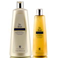 Graham Webb Silk Repair Daily Repair Shampoo (Thermal Care)