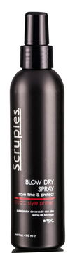 Scruples Blow Dry Spray