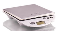 Lanza Electronic Digital Scale Lanza Electronic Digital Scale