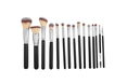 Morphe 15 pc Vegan Pro Set