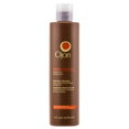 Ojon Damage Reverse Restorative Shampoo-image1 Ojon Damage Reverse Restorative Shampoo-image1