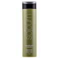 Sojourn Conditioner Volume