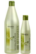 Salerm Citric Balance 01 Shampoo