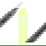 Loma Organics Repairative Creme Shampoo