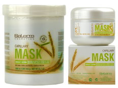 Salerm Mascarilla Wheat Germ Capillary Mask for dry hair-image1