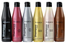 Salerm Color Shampoo