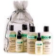 Evolvh Hair Set - Natural Ultrashine