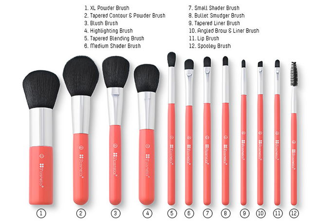 BH Cosmetics 12 Pc Wild Brush Set