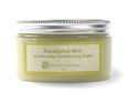 Darcy's Botanicals Eucalyptus Mint Herbal Scalp Conditioning Butter