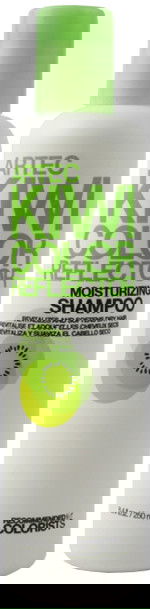 L'oreal Artec Kiwi Color Reflector Moisturizing Shampoo