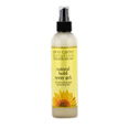 Jane Carter Solution Natural Hold Spray Gel