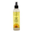 Jane Carter Solution Natural Hold Spray Gel-image1 Jane Carter Solution Natural Hold Spray Gel-image1