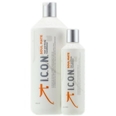 Icon Find Your Soul Mate Conditioner-image1 Icon Find Your Soul Mate Conditioner-image1